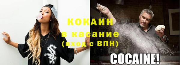 ешки Арсеньев