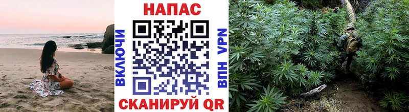 Конопля тримм  купить наркотик  Старица 